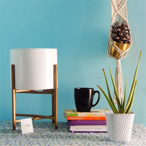 Pretty Stuff 的图像结果