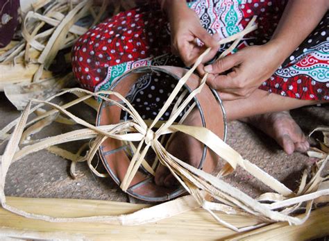 D'source Slide Show | Banana Stem | D'Source Digital Online Learning ...