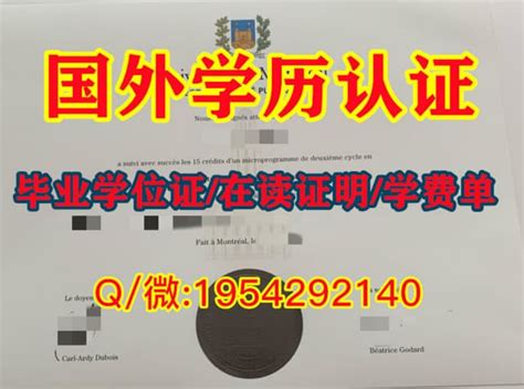 沧州师范学院毕业证样本学籍档案- 毕业证书定制|毕业证编号查询网