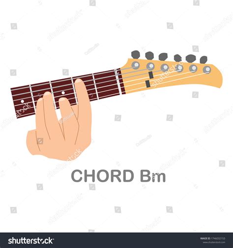 B Minor Chord Guitar Beginners Vector Stock Vector (Royalty Free ...