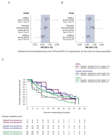 Homologous Recombination Repair Gene Mutation Characterization by ...