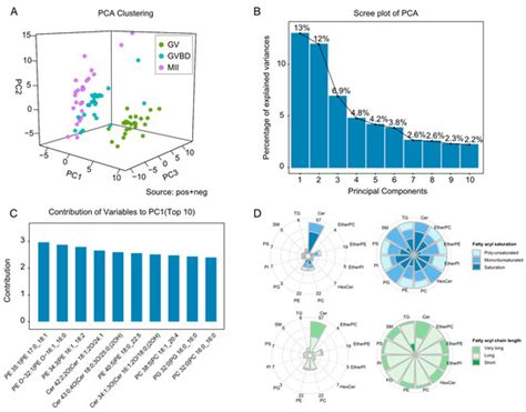 Lipidomic Characterization of Oocytes at Single-Cell Level Using ...