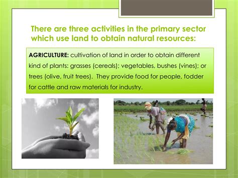 Basic Sector 的图像结果