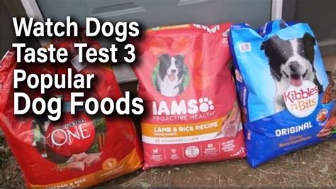 Dogs Taste Testing Food 的图像结果