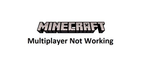 Why Can't I Play Multiplayer On Minecraft Java 的图像结果
