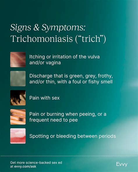 What Are The Symptoms Of Trichomoniasis In Men Mycoplasma Genitalium
