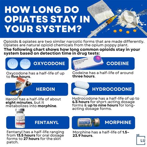 How Long Does Oxycodone Stay In Your System?