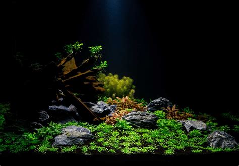 Aquarium Substrate - Planted Tank Mates