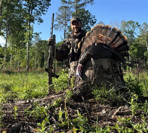 Delaware Wildlife Action Plan Draft ‘Species of Greatest Conservation Need’ List Ready for ... - species of greatest conservation need