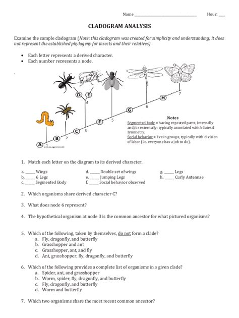Image result for Cladogram Worksheet