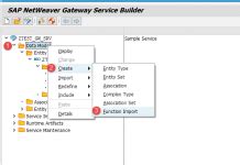 Image result for LL01 Tcode SSA