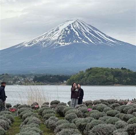 PRIVATE TOUR TO MOUNT FUJI FROM TOKYO WITH ENGLISH GUIDE (2025) All You ...