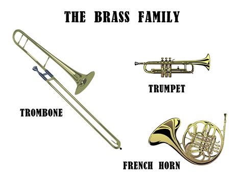 Musical Instrument Families | Instrument families, Homeschool music ...