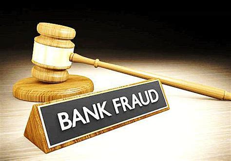 Bank Fraud Example 的图像结果