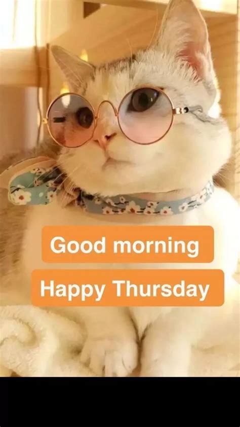 Funny Motivational Quotes For Thursday At Work at Hazel Anderson blog