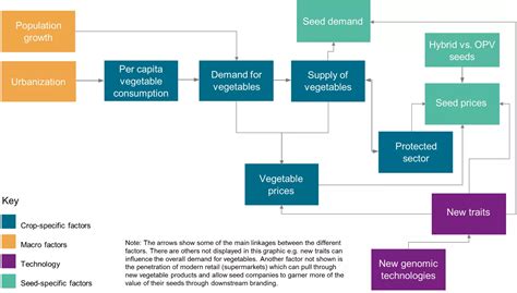 Vegetable demand drives global seeds growth | S&P Global