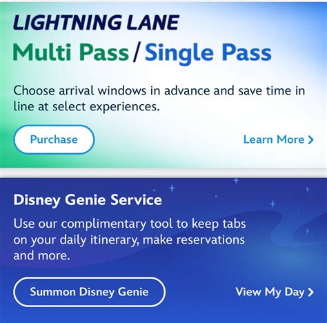 wdw 2024 mde lightning lane single pass multi pass disney genie free my ...