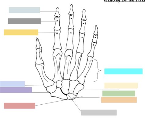 Image result for Hand Labeling