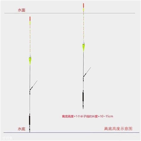 钓鱼钓浮调漂的正确方法（超实用四步调漂法详解） - 胖萌舍宠物网