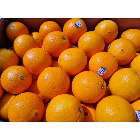 Sunkist Navel Orange SIZE: L (Sunkist 3107 size 88) / Egypt or Spain ...