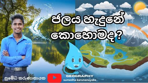 Image result for Lso Client Files Example