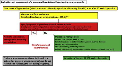 Proteinuria during pregnancy: definition, pathophysiology, methodology ...