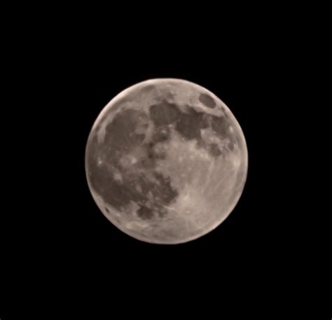 S21+ exynos 30x ・ popular.pics ・ Viewer for Reddit