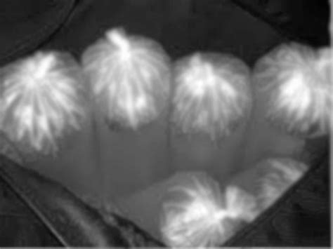 A bootlegger was caught with 576 liters of country liquor worth Rs ...