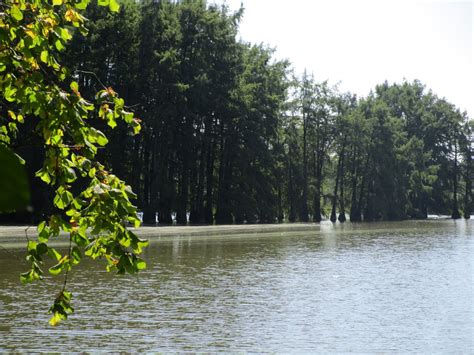 THE BEST Spas & Wellness Centres in Saint-Baudille-de-la-Tour