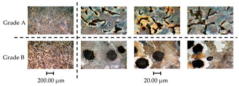 Significance of Tool Coating Properties and Compacted Graphite Iron ...