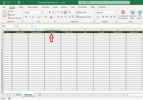 Dynamic Excel Data Entry Form 的图像结果
