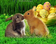 Image result for Bing Easter Bunny