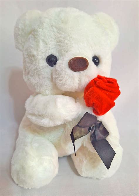 Oso de Peluche Rous – Envío de flores a domicilio CDMX | Diseños ...