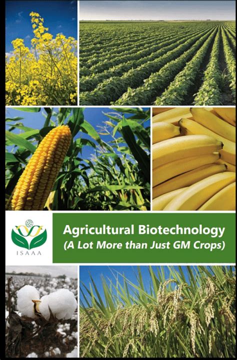 Plant Biotechnology: A New Revolution - Biotechnology Engineering (BT ...