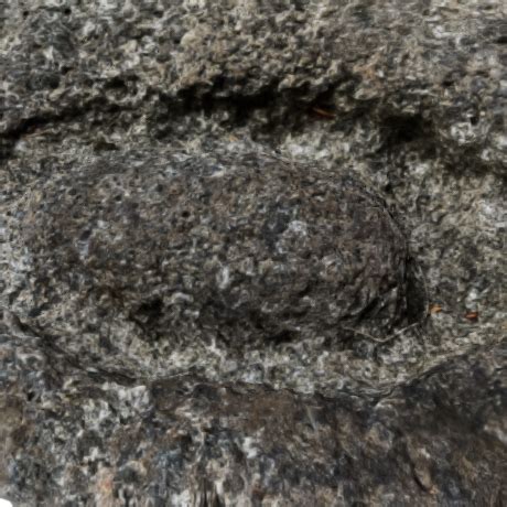 p3d.in - PHOTOGRAMMETRIE 3D - 7 aout 2022 - Ovoide - Cupule Facies ...