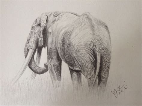 Elephant Drawing in pencil. I enjoyed sketching an elephant because ...