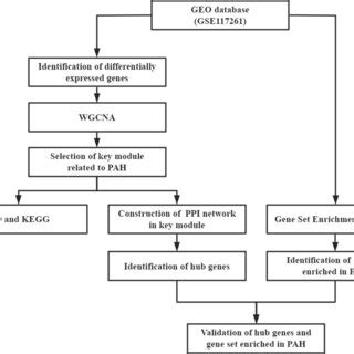 Image result for Work Process Study Chart