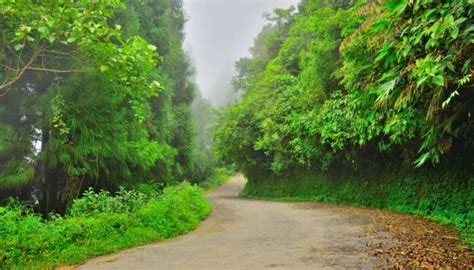 9 Hill Stations Near Siliguri For A Relaxing Vacation In 2026