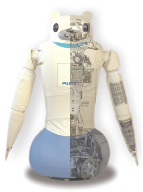 Robot Classification 的图像结果