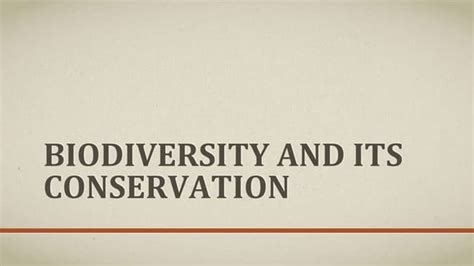 Conservation 的图像结果