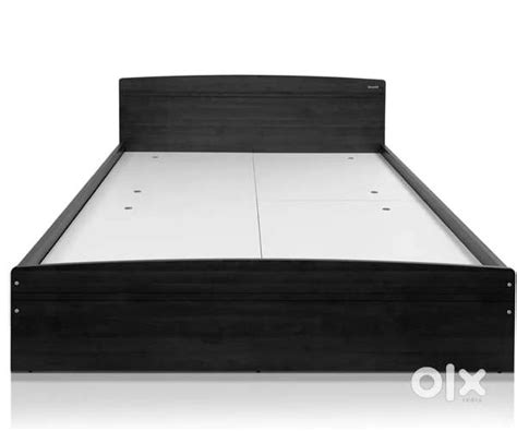 Zauri Queen Bed purchase date 2020 - Beds & Wardrobes - 1808208661