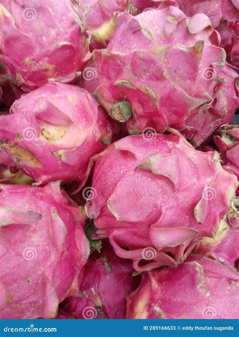 Colour and Taste of Dragon Fruit Stock Image - Image of sweet, vegetable: 289166633