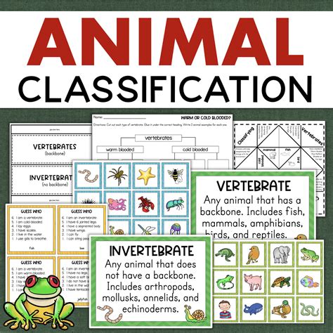 Animal Classification Chart Order 的图像结果