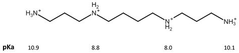 Spermine Oxidase–Substrate Electrostatic Interactions: The Modulation ...
