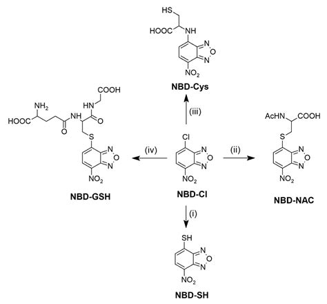 HPLC Study of Product Formed in the Reaction of NBD-Derived Fluorescent ...