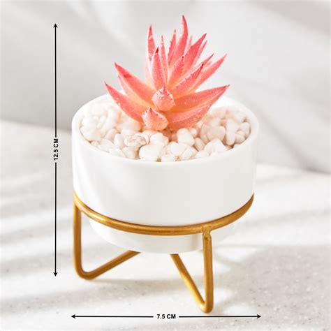 Buy Fiesta Ceramic Artificial Plant In Ceramic Pot from Home Centre at ...