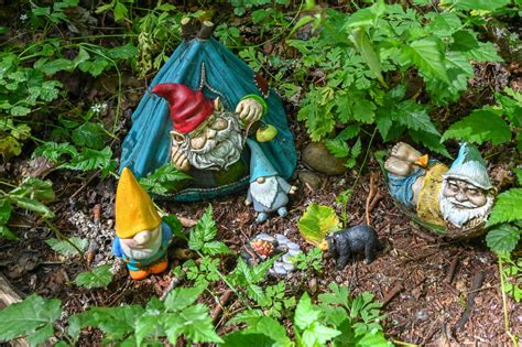 Hiking the Whimsical Gnomes Trail in Maple Valley, WA - Travelffeine