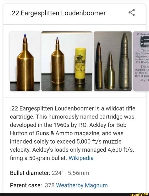 .22 Eargesplitten Loudenboomer .22 Eargesplitten Loudenboomer is a ...