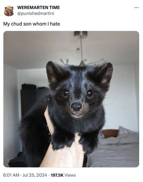 Chud at a Computer Template 的图像结果