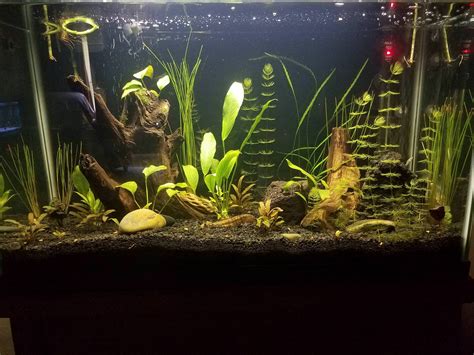Hey guys I'm new to the hobby. This is my 30 gal tall. What do you guys ...